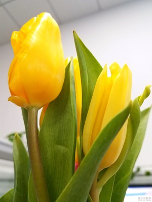 【幸福生活】+小憩