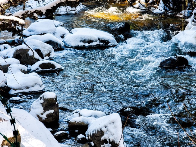 《每周星鮮事》 第52期: