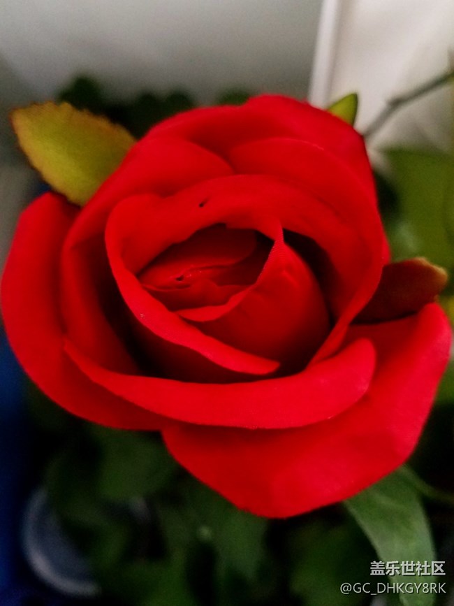 看出來了嗎？