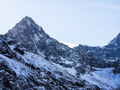 【難忘2020】+鋒芒