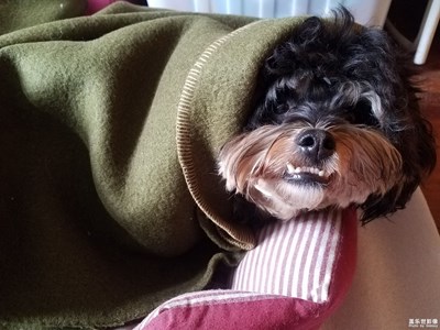 【幸福生活】+陪伴