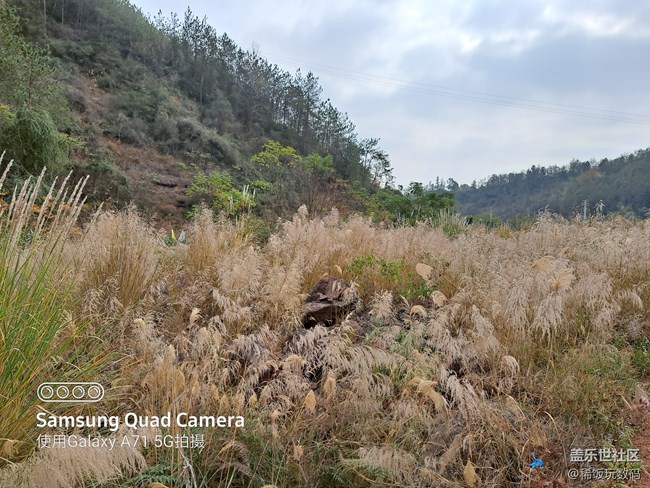 三星A71隨手拍照，6400萬(wàn)高清像素輕松拍大片