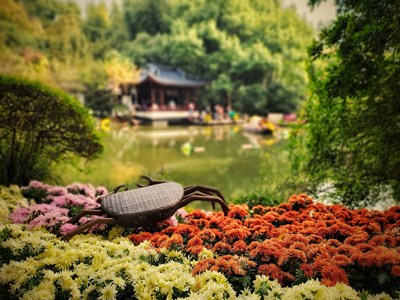 【幸福生活】+鮮花相伴