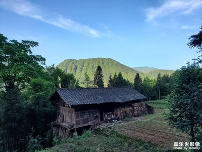 【幸福生活】+這一年的山間邂逅