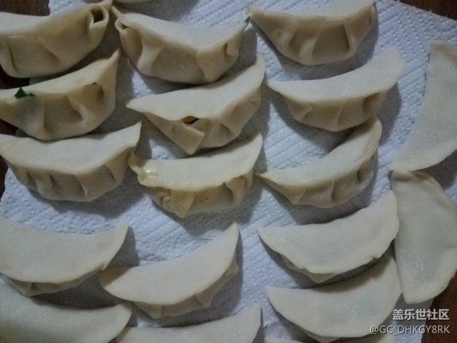 包餃子---韭菜雞蛋粉絲餡餃子