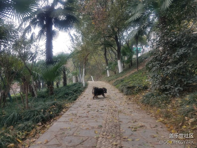 冬天的護城河邊