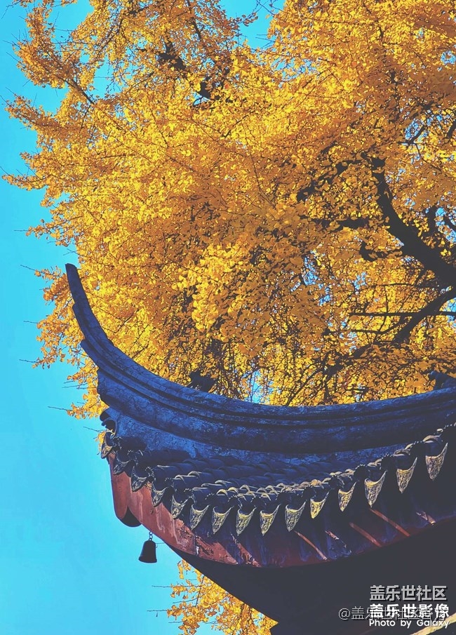 《每周星鮮事》 第52期: