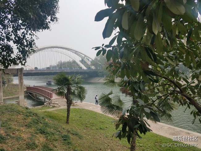 冬天的護城河邊