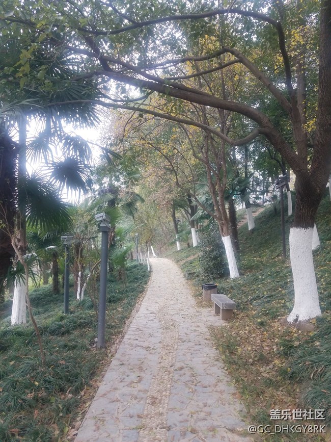 冬天的護城河邊