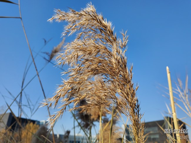 不要以為我的攝像頭是面團捏的