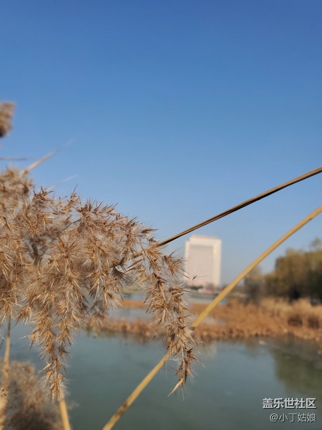 不要以為我的攝像頭是面團捏的