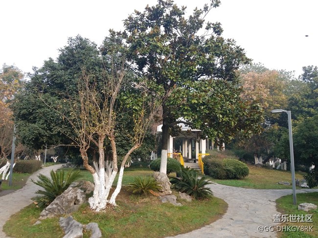 清潔城市的衛(wèi)士