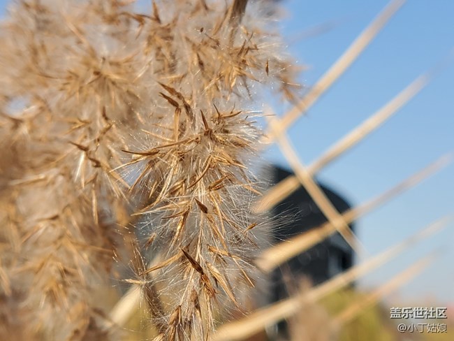 不要以為我的攝像頭是面團捏的