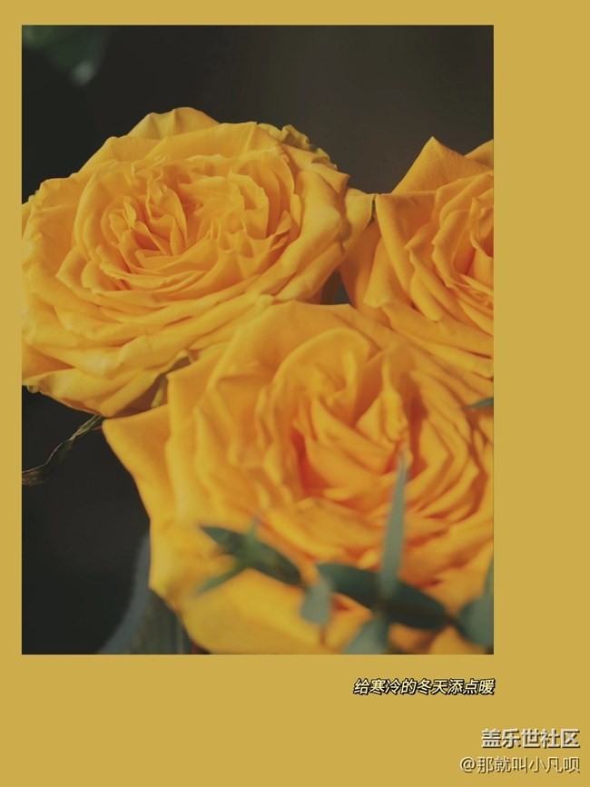 分享日常-實時虛化功能