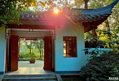 【捕捉精彩】+冬暖的那一抹金紅