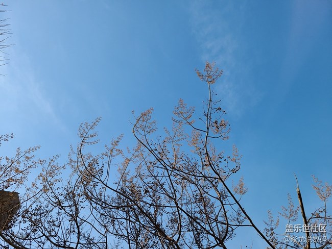 【隨手拍】這屆Galaxy S20的相機(jī)優(yōu)化的非常不錯！  ?