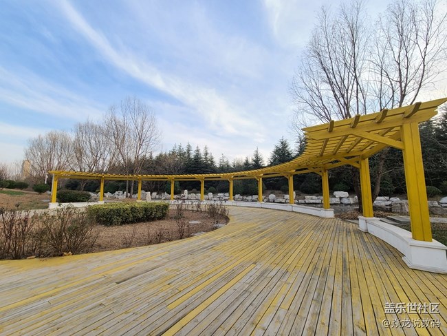 【隨手拍】這屆Galaxy S20的相機(jī)優(yōu)化的非常不錯！  ?