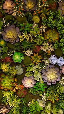 童話(huà)里……