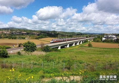 [捕捉精彩]——路邊的風景