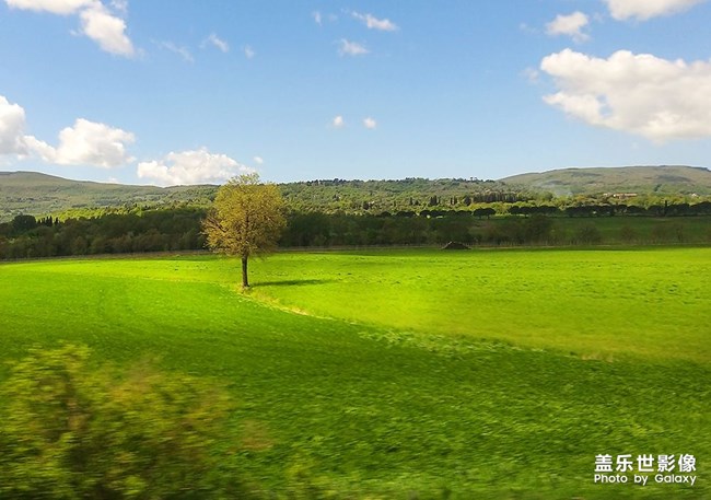 《每周星鮮事》 第54期