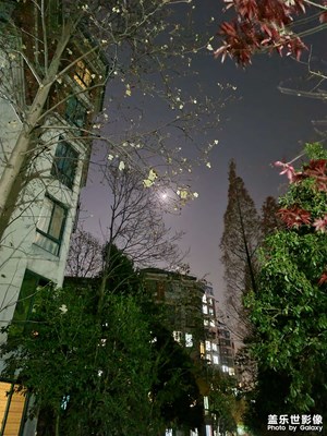 夜景