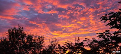 【難忘2020】糟心的一年，發(fā)現(xiàn)生活點(diǎn)滴之美