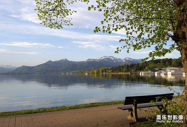 《每周星鮮事》 第54期