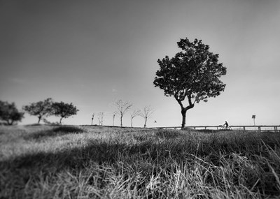 【時(shí)光】+黑白時(shí)光