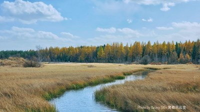 【難忘2020】+我的2020