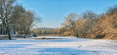 已開獎(jiǎng)【蓋樂世影像周賽第172期】——冬日