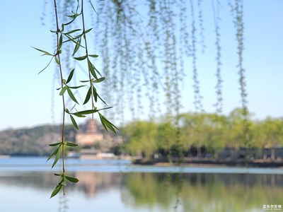 【難忘2020】+四季景致頤和園