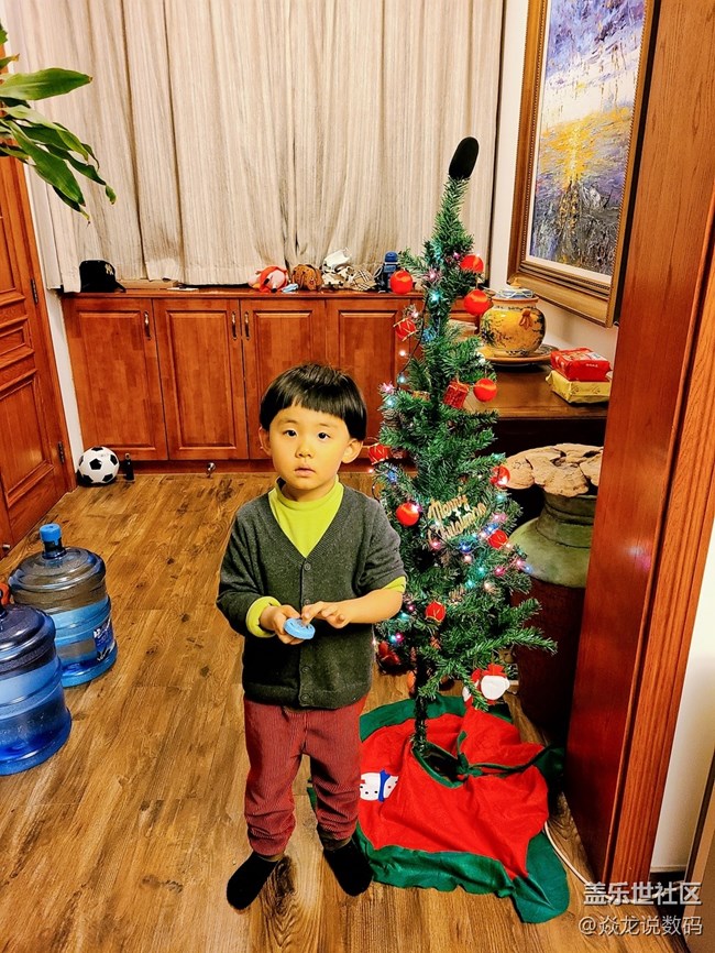 圣誕小麋鹿來啦~