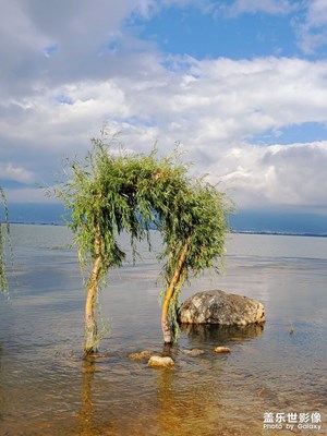 【難忘2020】云南行