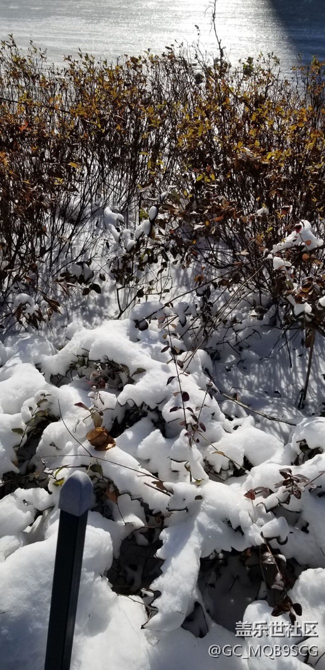 新手小白一枚，??????