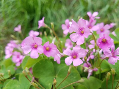 【難忘2020】+難忘的一年