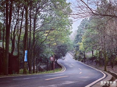 山上的風景
