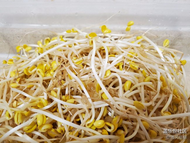 『清風家常菜』+江湖大菜：毛血旺