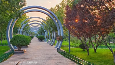 Galaxy S10+ 文創(chuàng)園小景（二）