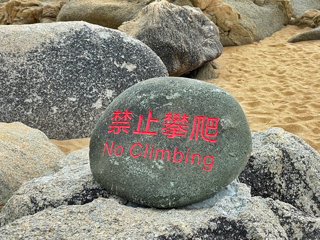 旅行路上Zflip的拍攝日常