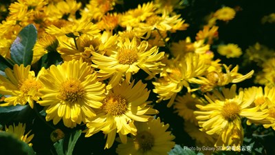 GalaxyS10+ 轉(zhuǎn)山偶得