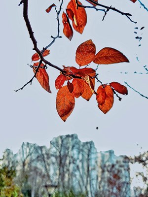 【你好2021】+寒冬暖色調(diào)