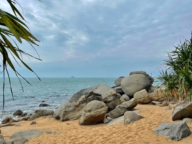 旅行路上Zflip的拍攝日常