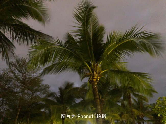 夜景拍攝?超級防抖厲害了我的Z Flip