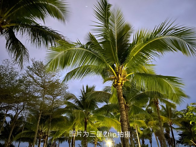 夜景拍攝?超級防抖厲害了我的Z Flip