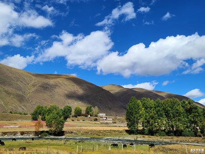風(fēng)雨新都橋