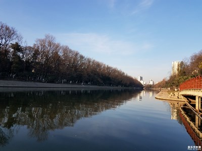 【你好2021】+太陽照常升起