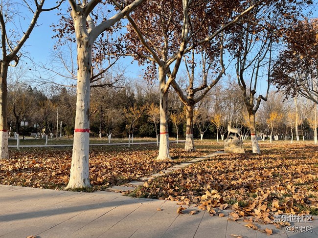 已開獎【Z版一月第三周】過年的打算