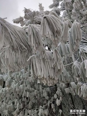 昆明的雪