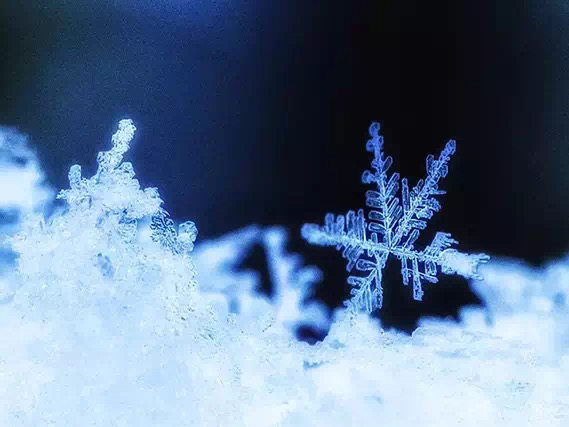 你那里下雪了？用手機(jī)來(lái)拍攝小雪花吧…