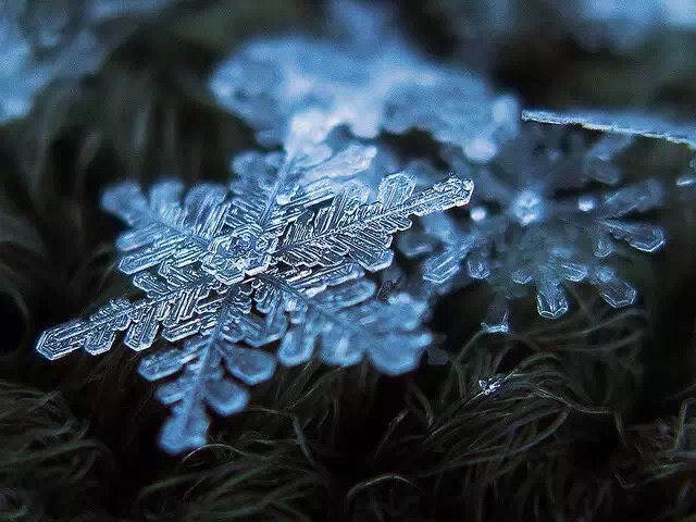 你那里下雪了？用手機(jī)來(lái)拍攝小雪花吧…